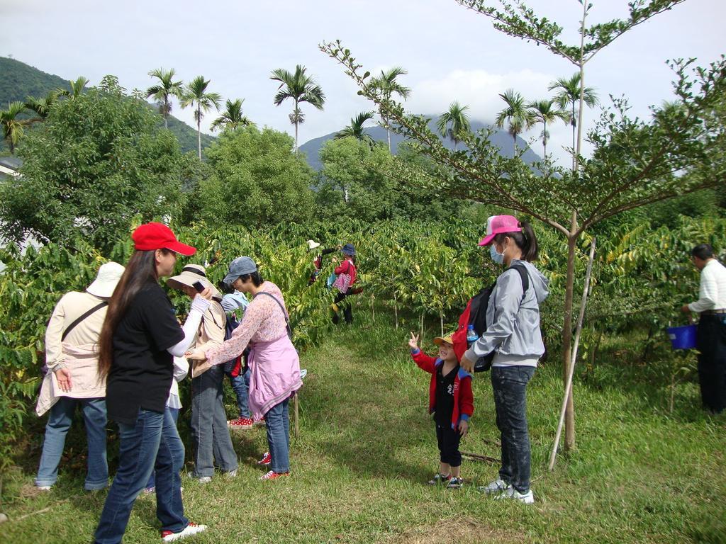 Taroko Sialin Coffee Farm Homestay Xiulin Luaran gambar