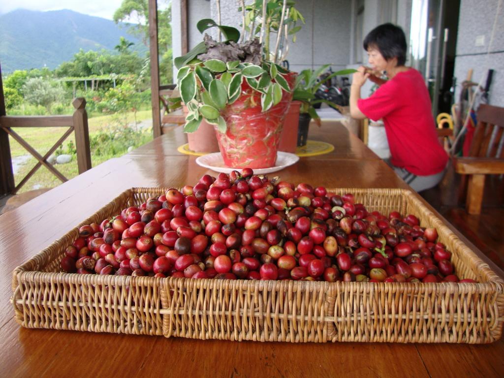 Taroko Sialin Coffee Farm Homestay Xiulin Luaran gambar