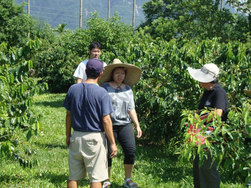 Taroko Sialin Coffee Farm Homestay Xiulin Luaran gambar